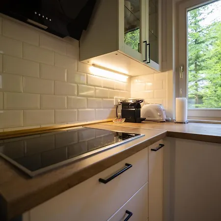 Lana With Hot Tub * Gozd Martuljek